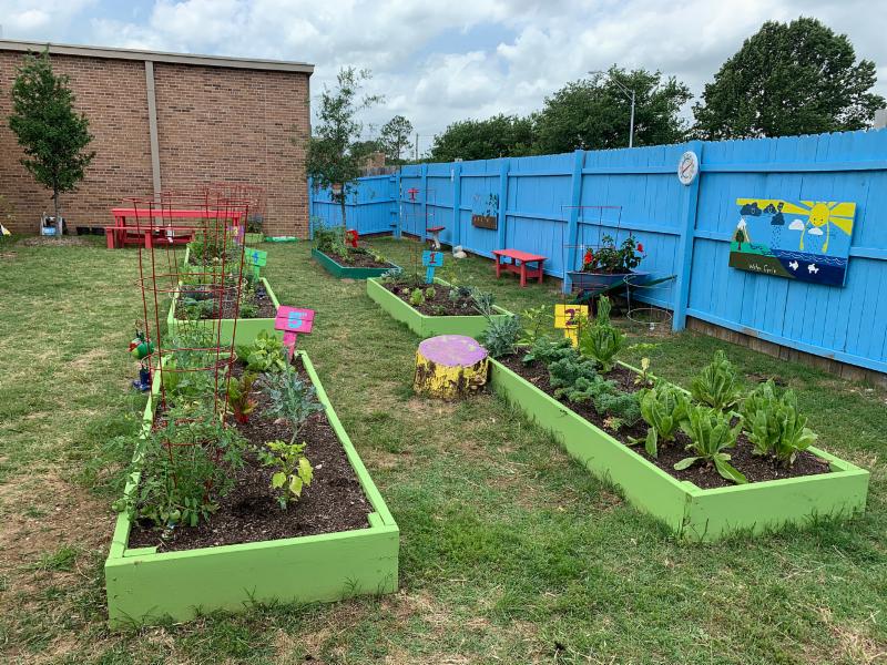 Ginnings Elementary Garden Beds