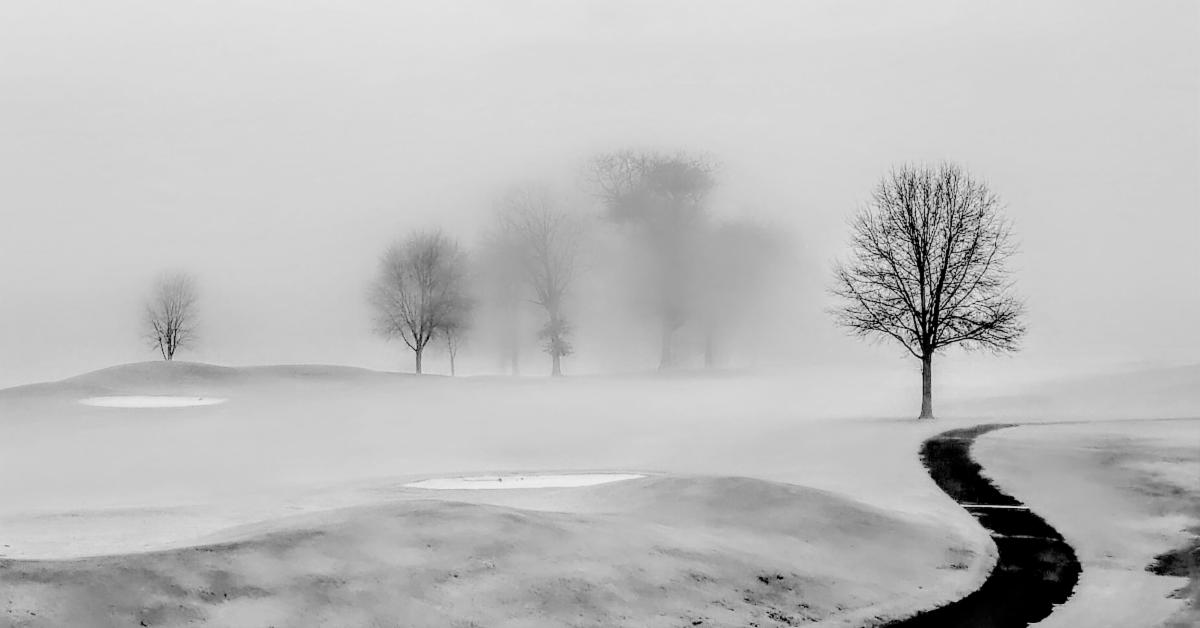 Solitude by Lynn Carter