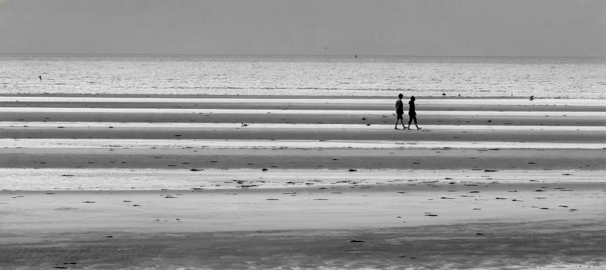 Beach Walker by Lynn Carter
