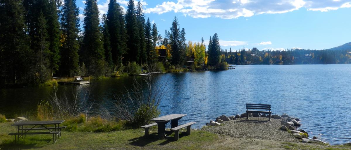 Lake View 