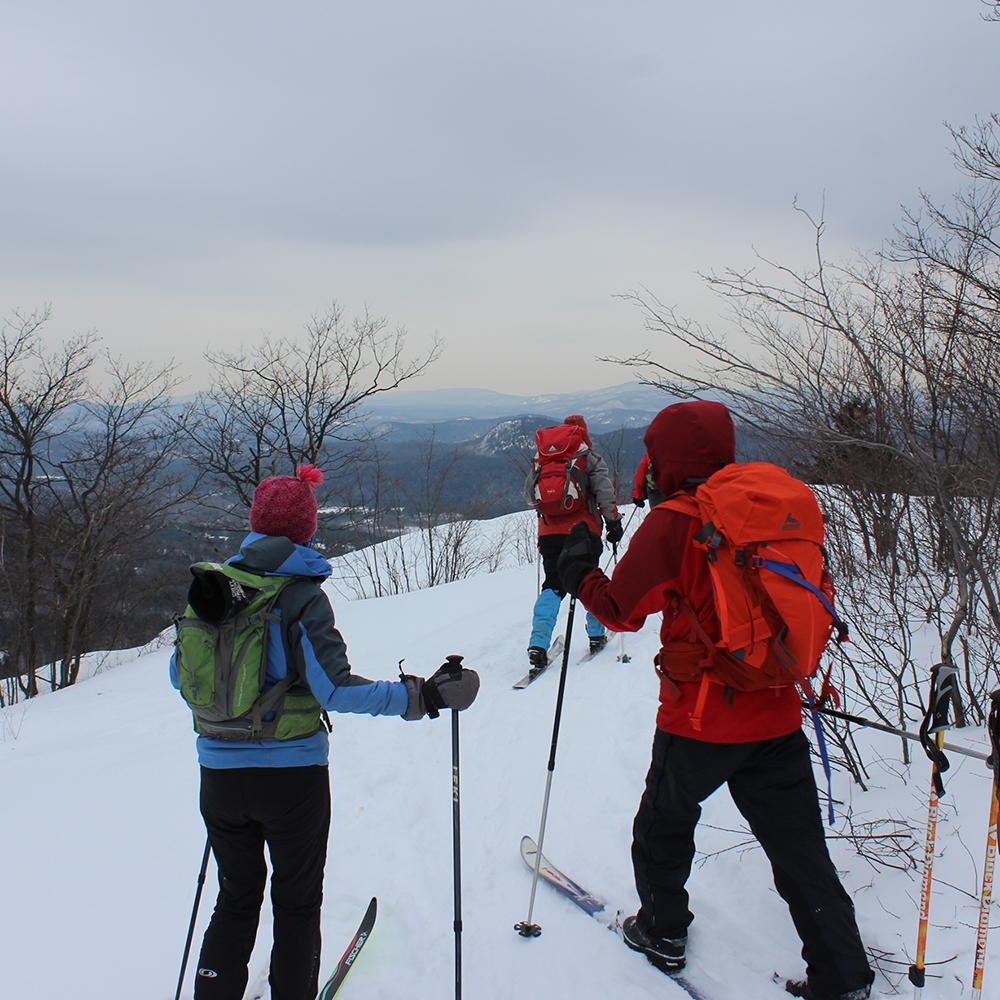Two cross-country skiers wear bright red and blue jackets in contrast with bright white snow. Bare twiggy branches are on either side.
