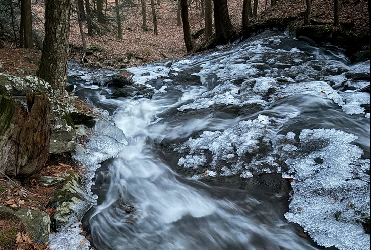 Water flows through a wooded stream. Crystalized ice is formed along the edges and tops of rocks emerged from the water.