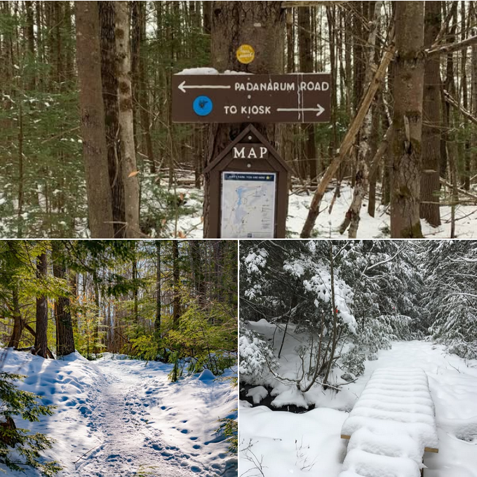 composit of three photos, each showing snowy wooded trails 