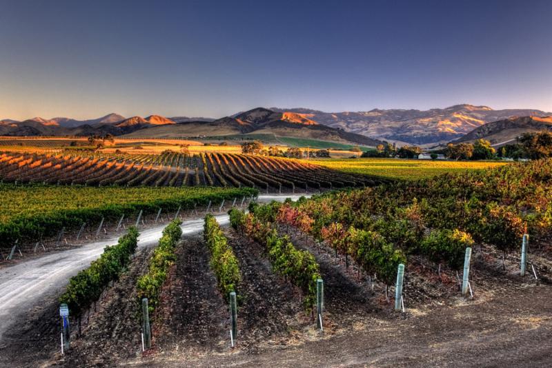 Santa Barbara Wine Country