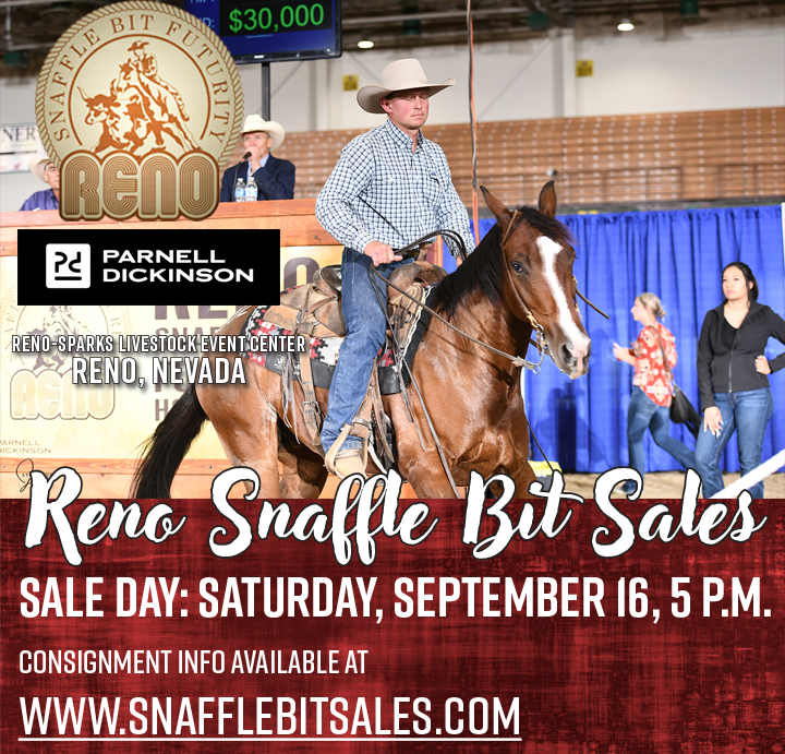 Countdown to Reno 2023 2023 Entry Information & Horse Sale Consignment