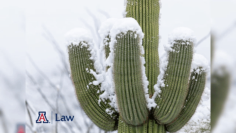 UA Law Holiday_1280x720.gif