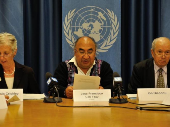UN Special Rapporteur Presenting.png