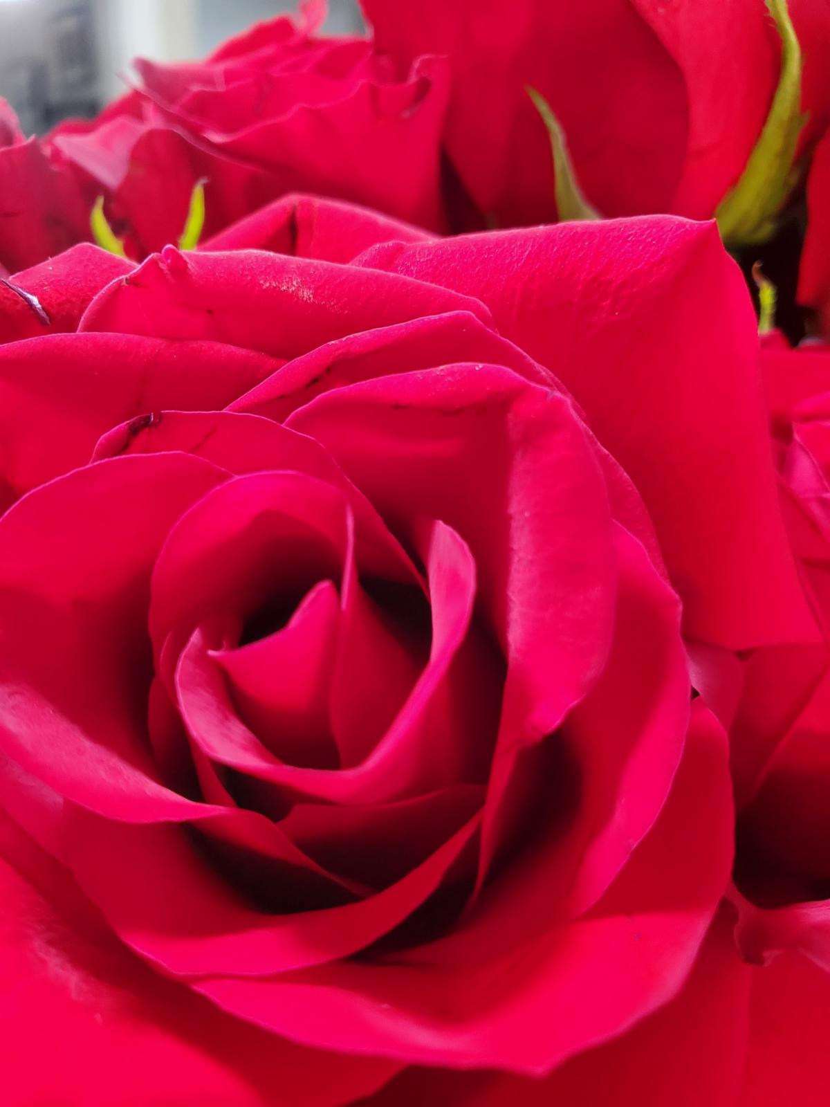 758658af-5b07-438f-af94-140184046f46 image