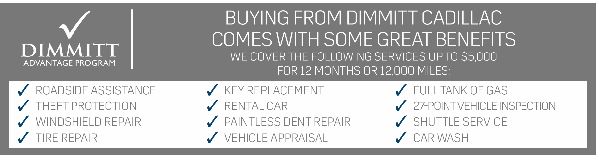 Dimmitt Advantage Program