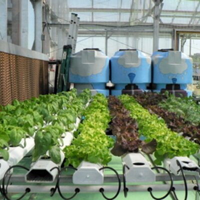 hydroponics
