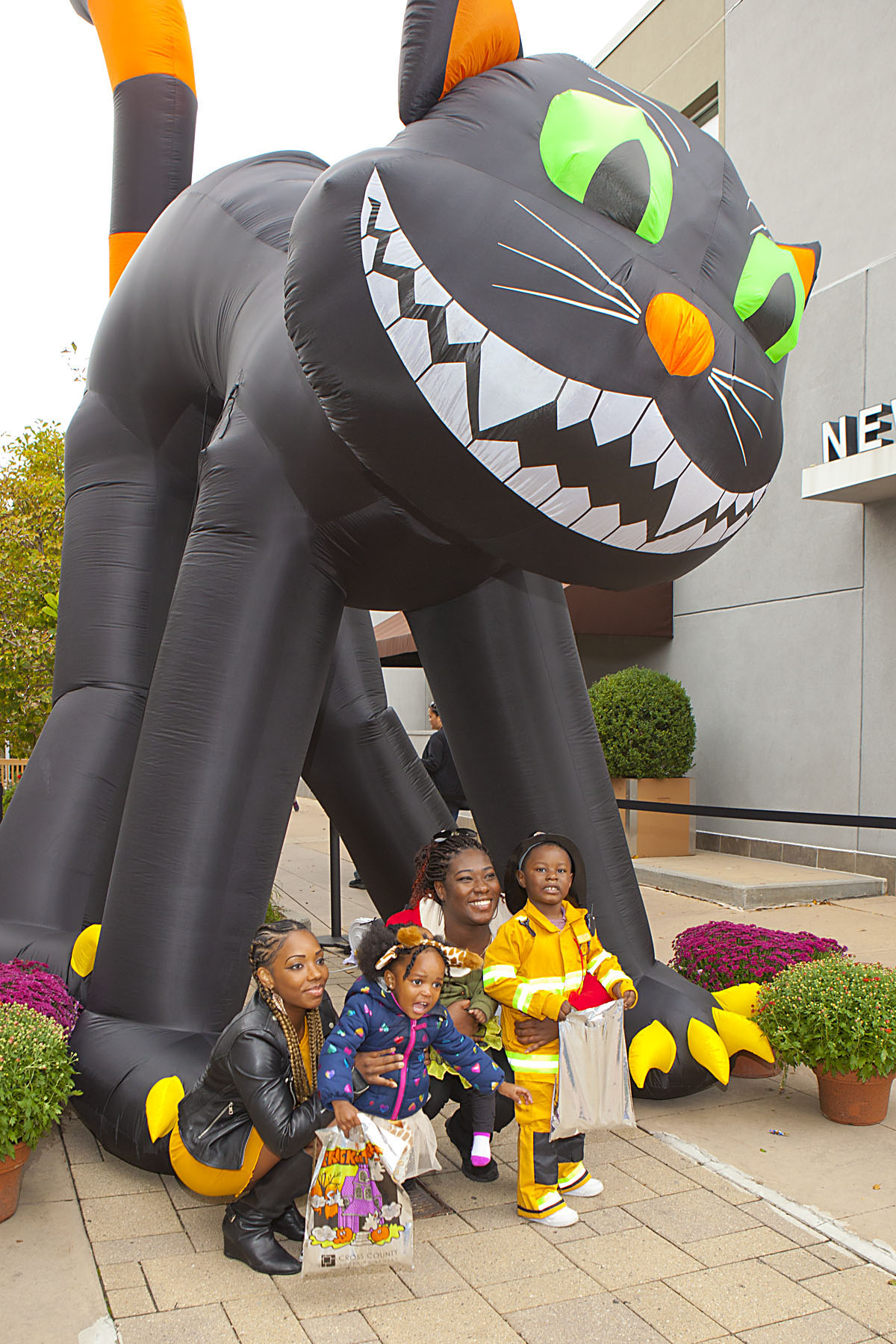 ccsc black cat