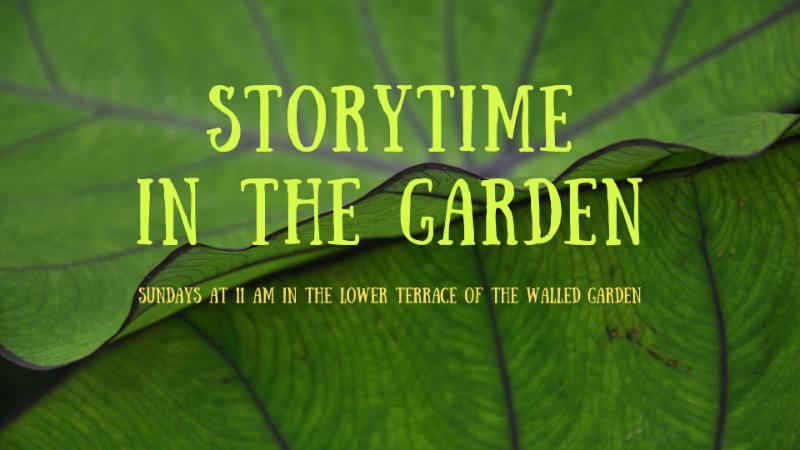 untermyer story
