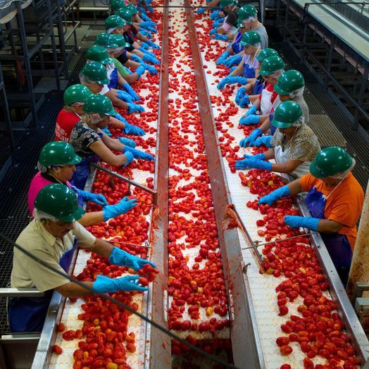 Central California Industry Spotlight Food Processing