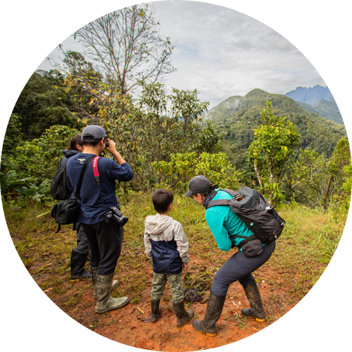 November News Great Marsh, the Amazon, and BirdAThon Results