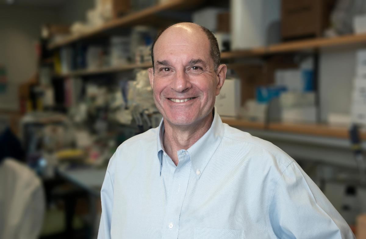 Dr David Julius headshot
