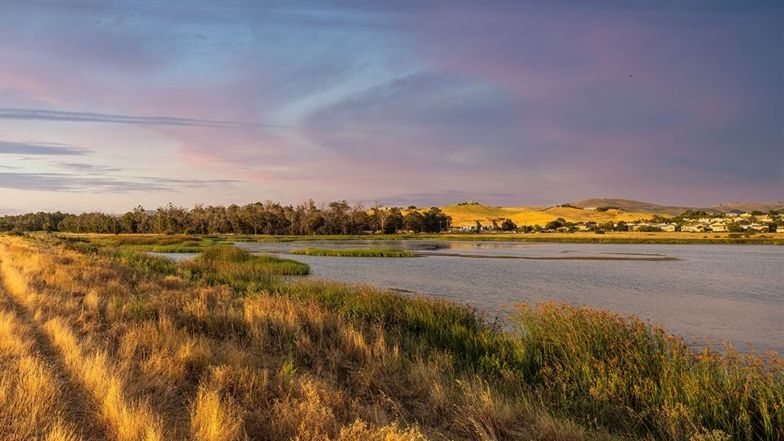 Photo of a wetlands edge area near dusk with a dark blue and purple sky. The wetlands have both green and dry grasses and water has small waves.