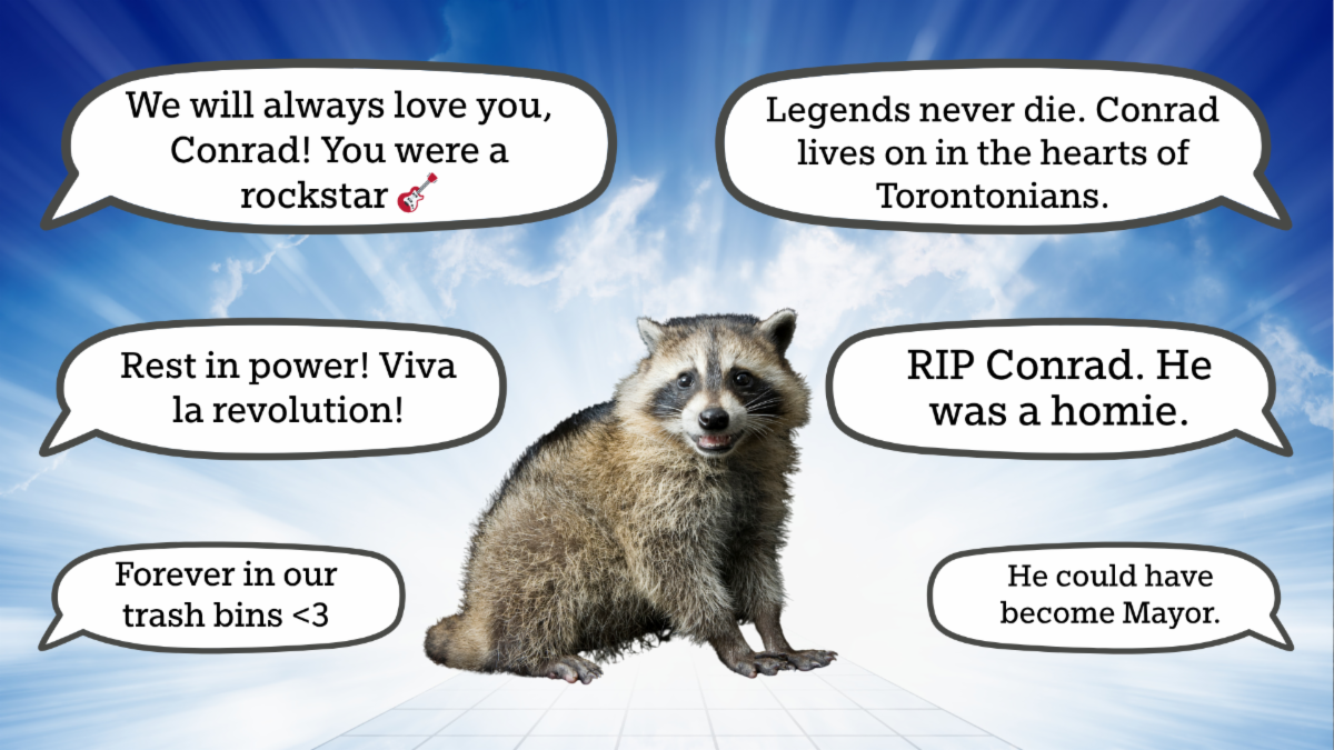 A raccoon is situated in the centre of the image with 6 speech bubbles containing text surrounding the raccoon. The image is against a blue sky background with light rays.