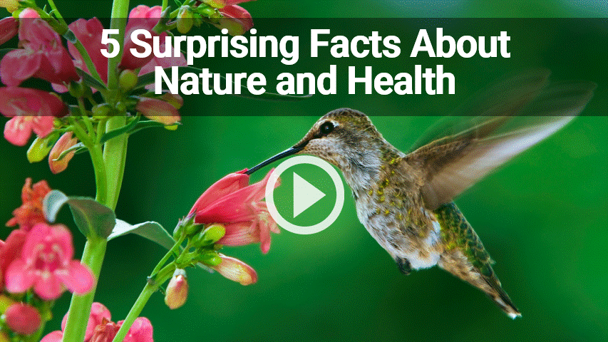 Click to learn 5 Surprising Facts About Nature and Health