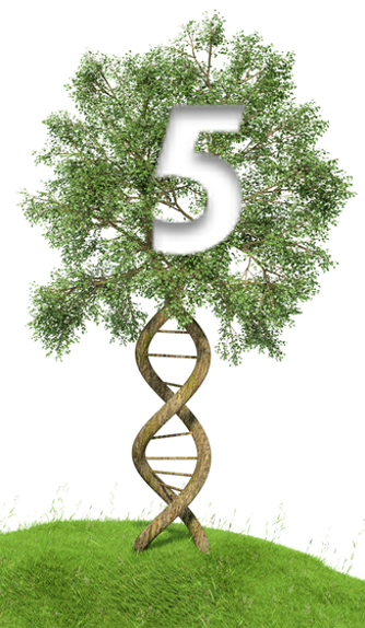 Tree with a trunk twisted to resemble a DNA helix, with a cutout shaped like the number 5 in its leafy branches.