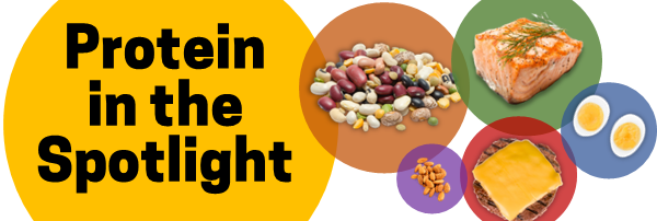 The words "Protein In the Spotlight" alongside images of legumes, salmon, eggs, almonds, and beef