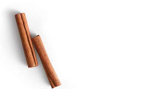 Various forms of cinnamon: dried sticks and ground