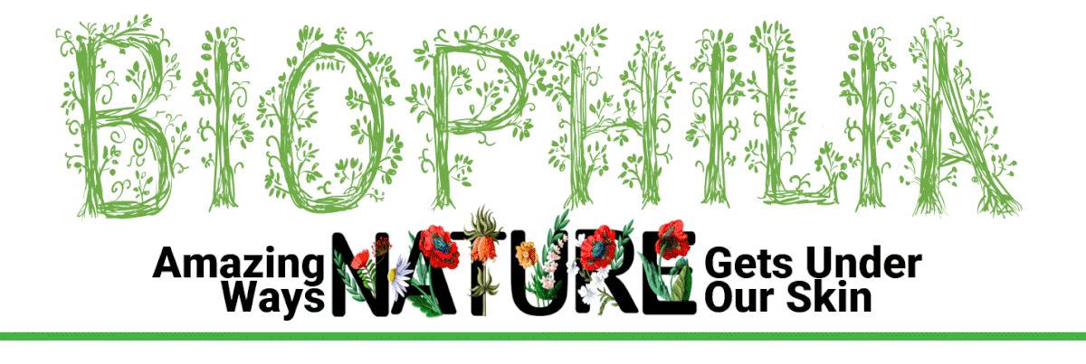 Vine-covered lines come together to make up the word "biophilia." A brown animated bird flies into view and lands on the letters, then flies off. A subheading reads "Amazing Ways Nature Gets Under Our Skin."