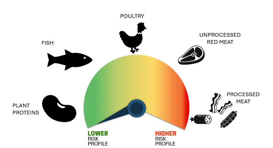 Animated meter showing risk profile of protein-rich foods, with plant proteins on the lowest-risk side and processed meat on the highest-risk side