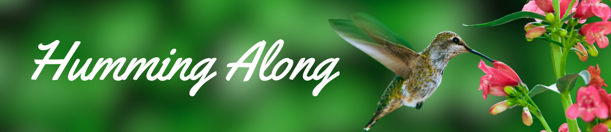 A delicate brown hummingbird hovers over a vibrant pink flower. The heading "Humming Along" is overlaid on the image.