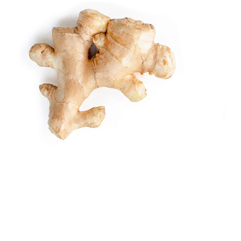 Various forms of ginger: raw unaltered, sliced, and ground