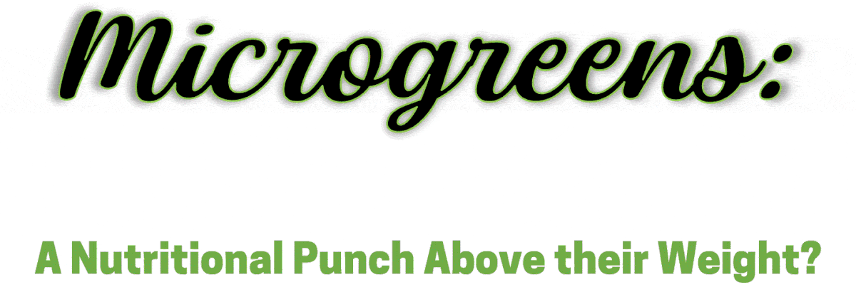 Animated spoonfuls of colorful microgreens slide into place behind the words "Microgreens: A Nutritional Punch Above Their Weight?"