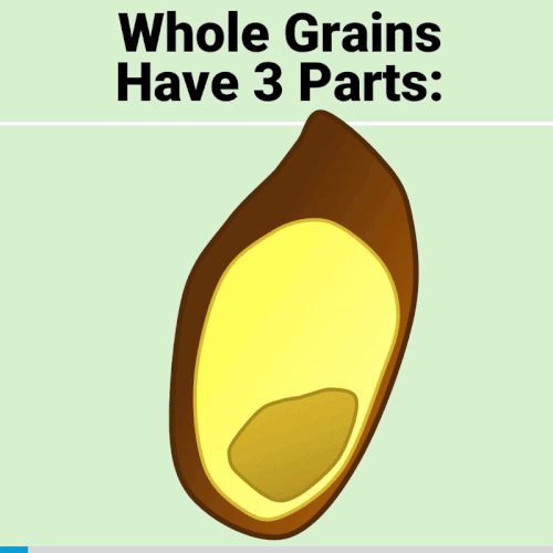 Animation of the 3 parts of a whole grain. The brand and germ are removed, leaving the endosperm, which is almost entirely starch.