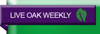 Newsletter Final