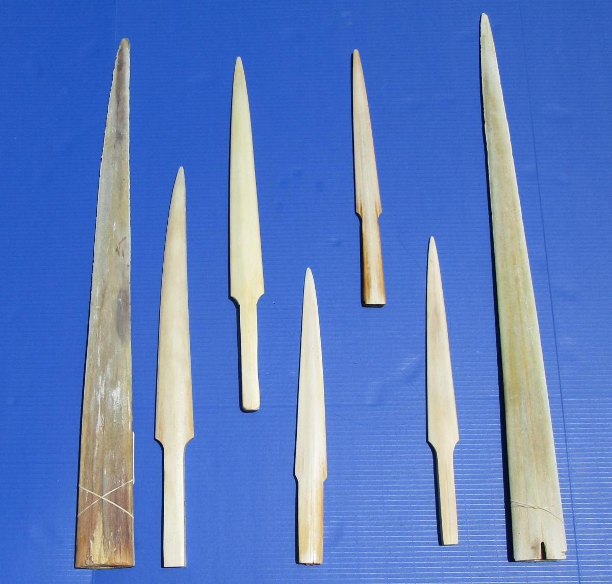 Beach Supplies Taxidermy