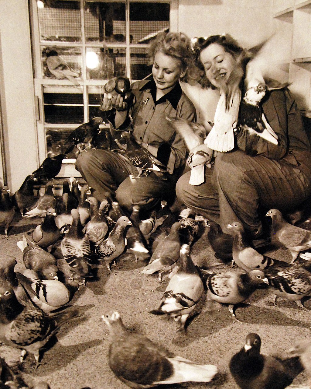 Two WAVES crouching surrounded by pigeons