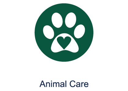 icon for animal care