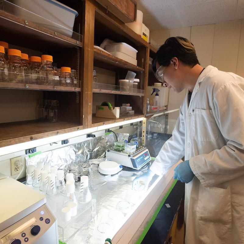 Researcher in lab coat standing next to bench analyzing samples