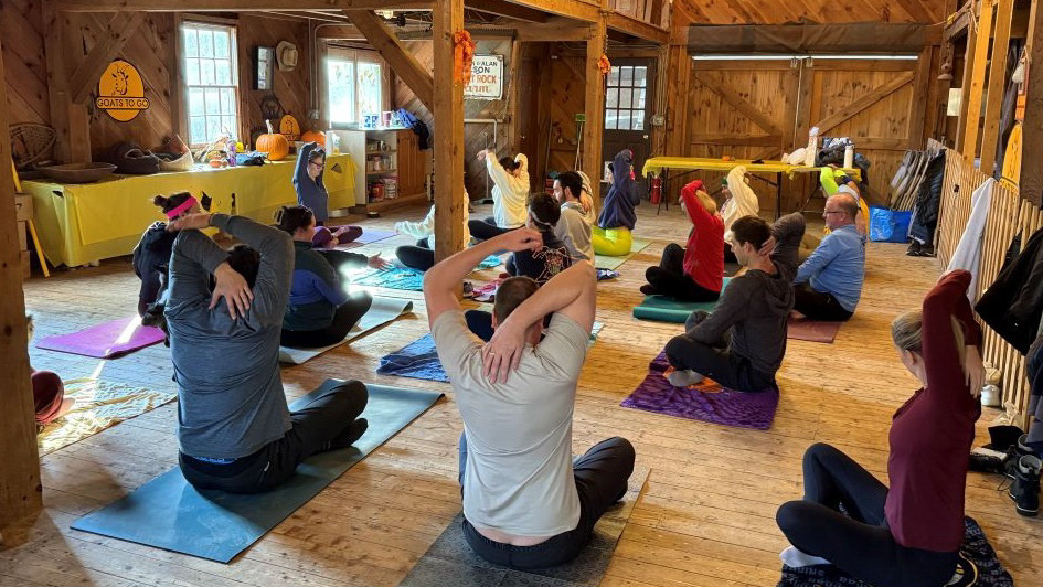 Yoga with Animals