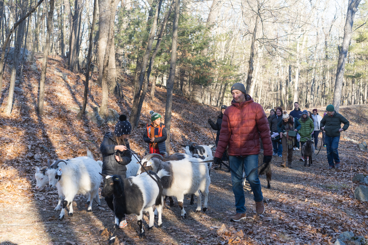 Goat Hikes