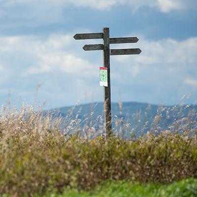 Trail signpost at Shelburne Farms. Photo by Daria Bishop.