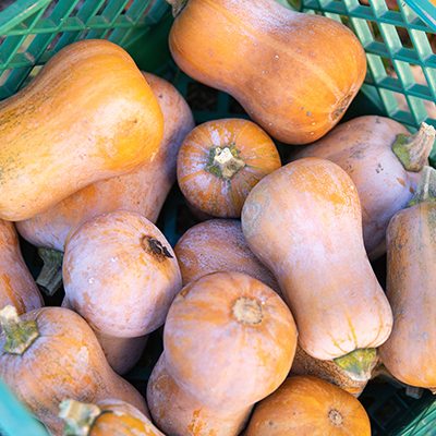 A container of squash by Sarah Webb.