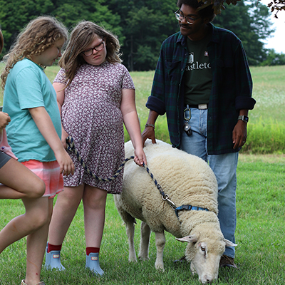 Campers walk sheep on rope lead with counselor. Photo by Holly Brough.