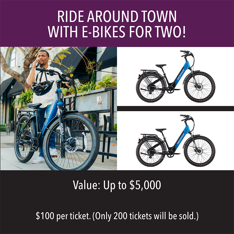 This graphic shows images of two e-bikes.