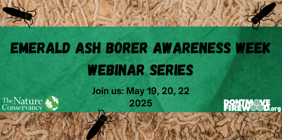 Emerald Ash Borer Awareness Week Webinar Series Join us: may 19,20,22