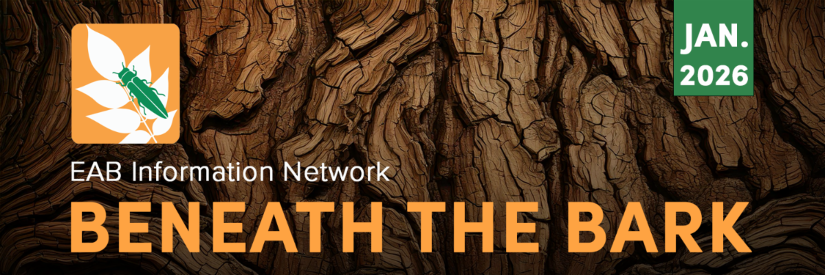 EAB information network beneath the bark jan 2026