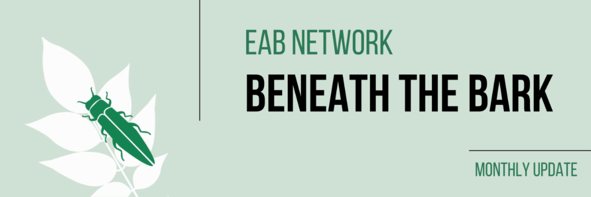 EAB Network Beneath the Bark: Monthly Update