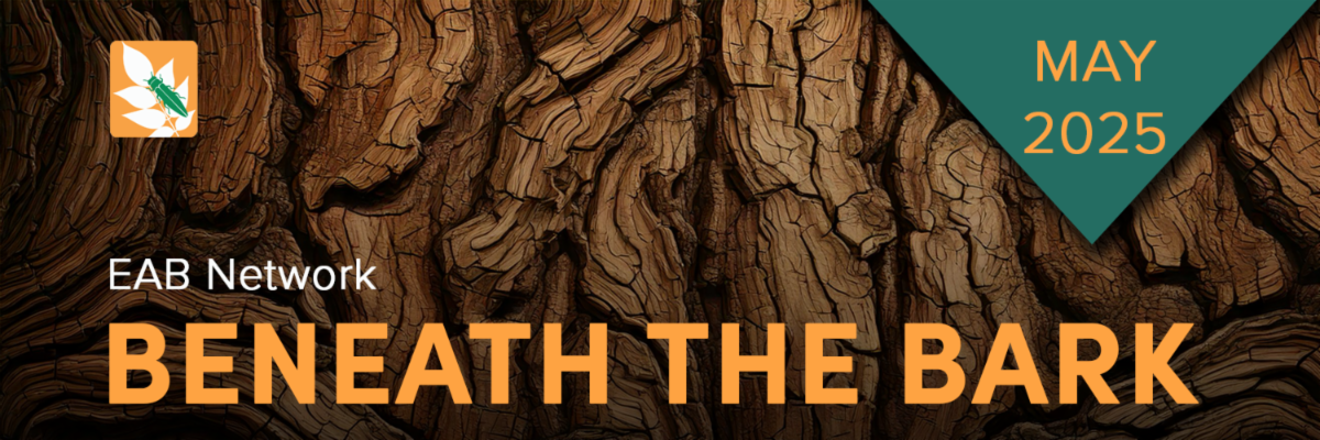 Beneath the Bark May 2025 