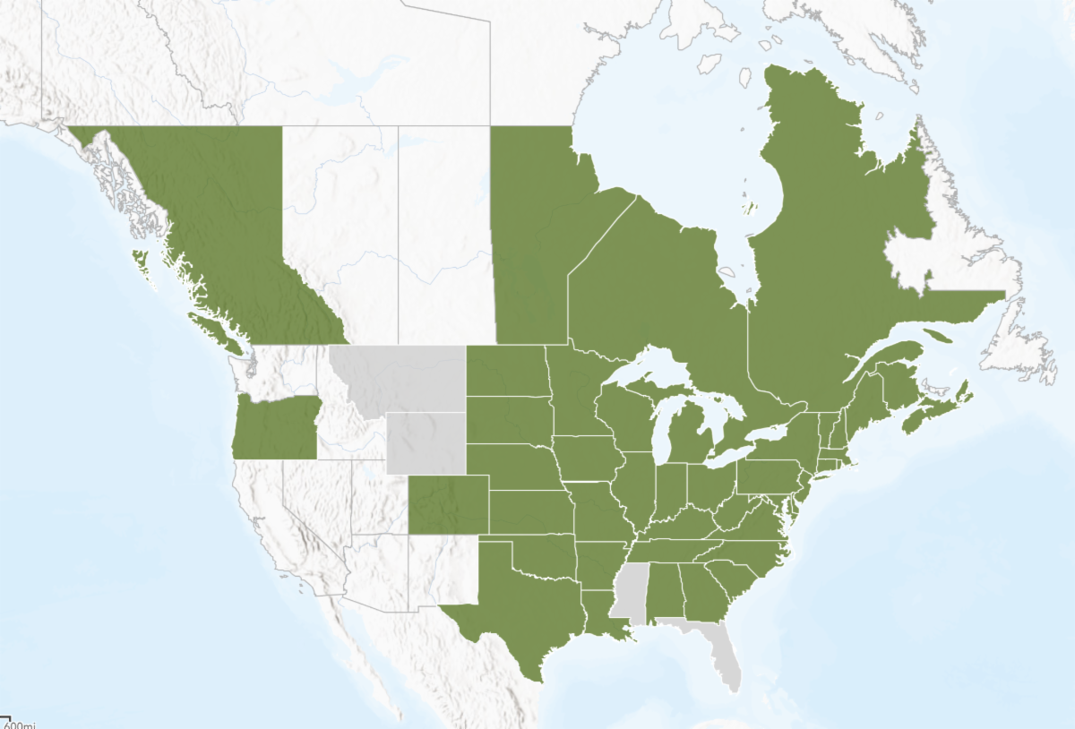 Map of north america highlighting where emerald ash borer has spread