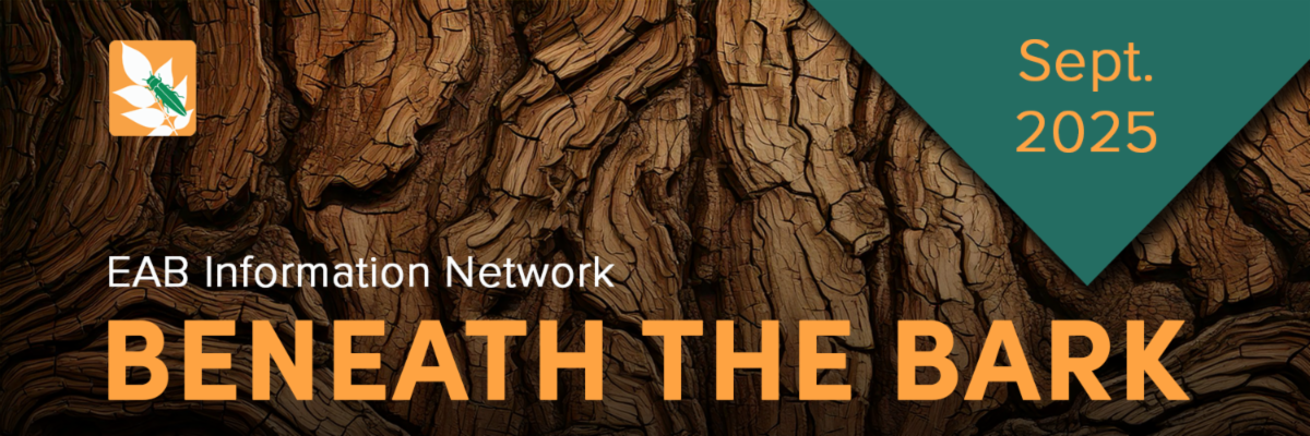 EAB Information Network Beneath the Bark Sept. 2025