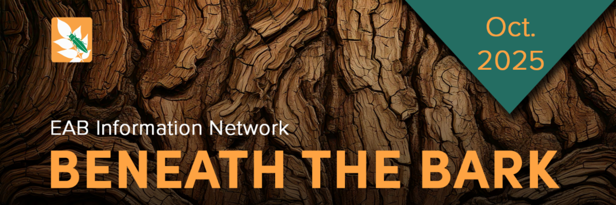 oct 2025 EAB information network beneath the bark
