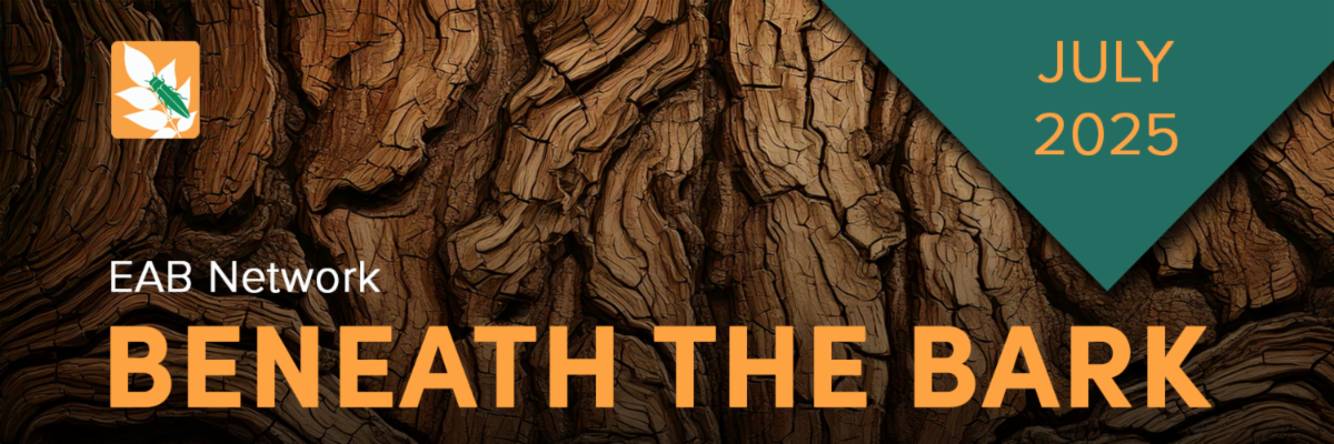 Beneath the Bark JULY 2025 
